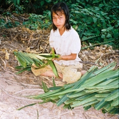 Perspektive fürs Leben e.V. fördert Nguyen Thi Anh Pha, genannt Pinky