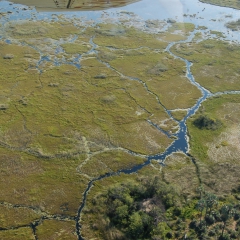 1_Okavango_Delta_Botswana_2675200210