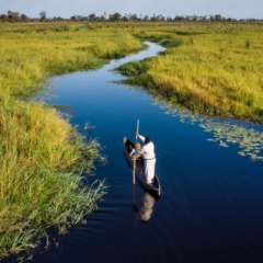 1_Okavangoboot