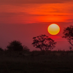 botswana-okavango-delta-sonnenuntergang-210324