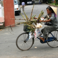 Mekong-Delta - Vietnam