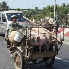 Hanoi- Vietnam