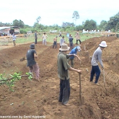 Von der Planung bis zur feierlichen Eröffnung am 24. Januar 2008: Die Tan Loi Thanh Secondary School im vietnamesischen Mekong-Delta