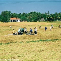 Impressionen Vietnam 1990-2013