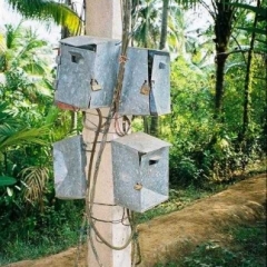 Impressionen Vietnam 1990-2013