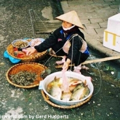 Impressionen Vietnam 1990-2013