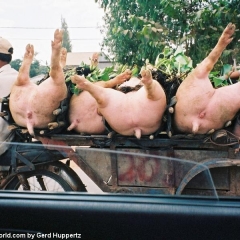 Impressionen Vietnam 1990-2013
