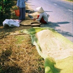 Impressionen Vietnam 1990-2013