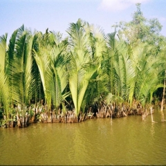 Impressionen Vietnam 1990-2013