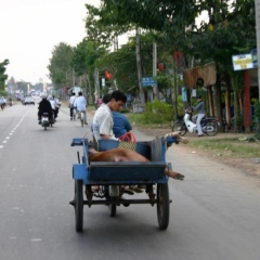 Impressionen Vietnam 1990-2013