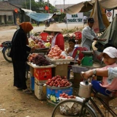 Impressionen Vietnam 1990-2013