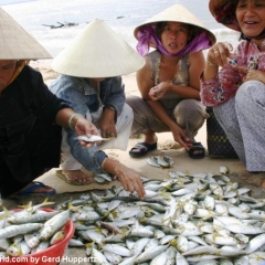 Impressionen Vietnam 1990-2013