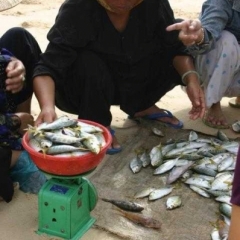 Impressionen Vietnam 1990-2013
