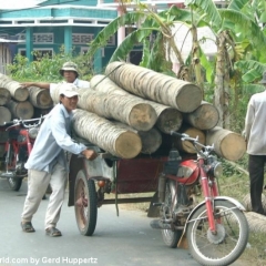 Impressionen Vietnam 1990-2013