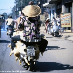 Impressionen Vietnam 1990-2013