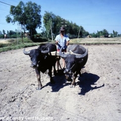 Impressionen Vietnam 1990-2013