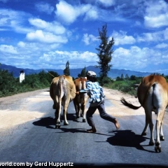 Impressionen Vietnam 1990-2013