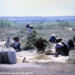 Impressionen Vietnam 1990-2013