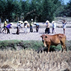 Impressionen Vietnam 1990-2013