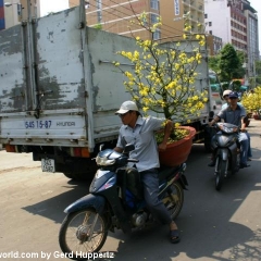 Impressionen Vietnam 1990-2013