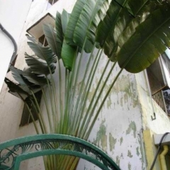 Impressionen Vietnam 1990-2013