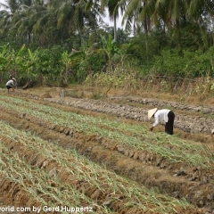 Impressionen Vietnam 1990-2013