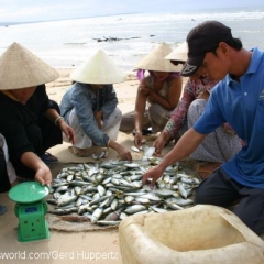 Impressionen Vietnam 1990-2013