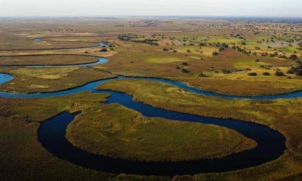 Botswana – Afrikas letzte große Wildnis